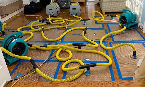 Professional Flood Damage Restoration technician working in Alhambra, IL